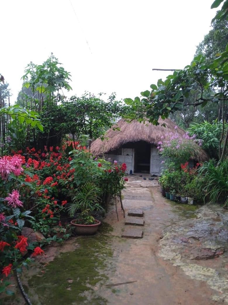 Meikha Homestay Pynursla Екстер'єр фото